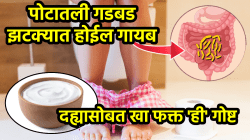 जुलाब लगेच थांबतील! दह्यामध्ये फक्त ‘ही’ १ गोष्ट मिसळा, पोटदुखी आणि गॅसही झटक्यात होईल दूर…