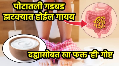 जुलाब लगेच थांबतील! दह्यामध्ये फक्त ‘ही’ १ गोष्ट मिसळा, पोटदुखी आणि गॅसही झटक्यात होईल दूर