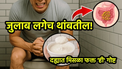 तुम्हाला जुलाब होतायत? मग दह्यासोबत ‘ही’ पांढरी गोष्ट मिसळून खा! जुलाब लगेच थांबतील