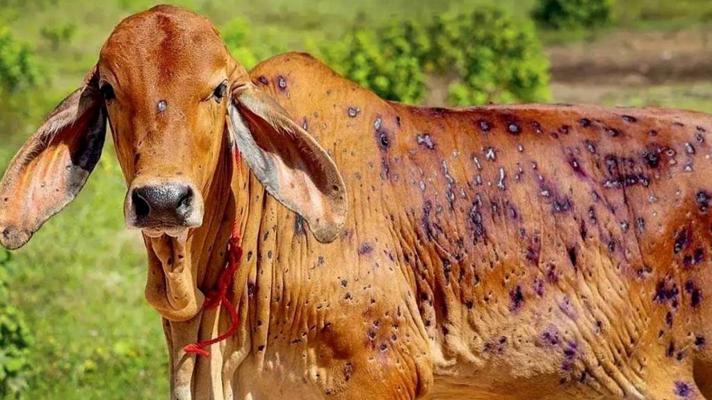 लम्पी रोग