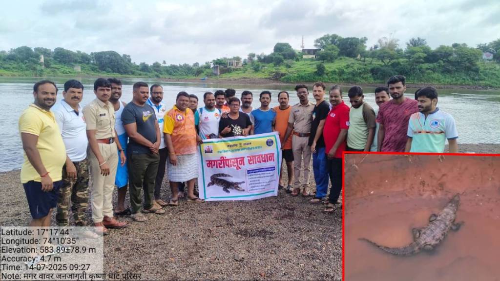 Crocodile sighted on the western bank of the Koyna River on Monday
