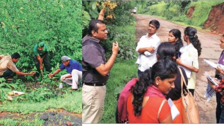 जंगलबुक : झाडांसोबत जगणारा माणूस