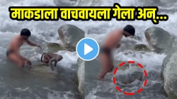 माकडालाही माणसावर विश्वास नाही! जीव वाचवायला आलेल्या व्यक्तीबरोबर माकडानं काय केलं पाहा, VIDEO पाहून व्हाल अवाक्