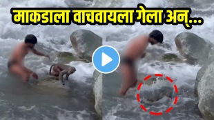 Viral video of man saved monkey from drowning in river Jammu Kashmir shocking video viral on social media