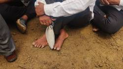 Manoj Jarange Patil Azad Maidan : ‘मैदानात चिखल… चिखलात कार्यकर्ते’, मुंबईत मराठा आंदोलकांचा जनसागर