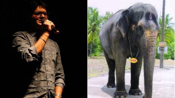 marathi actor swapnil rajasekhar share post for mahadevi elephant from nandani village