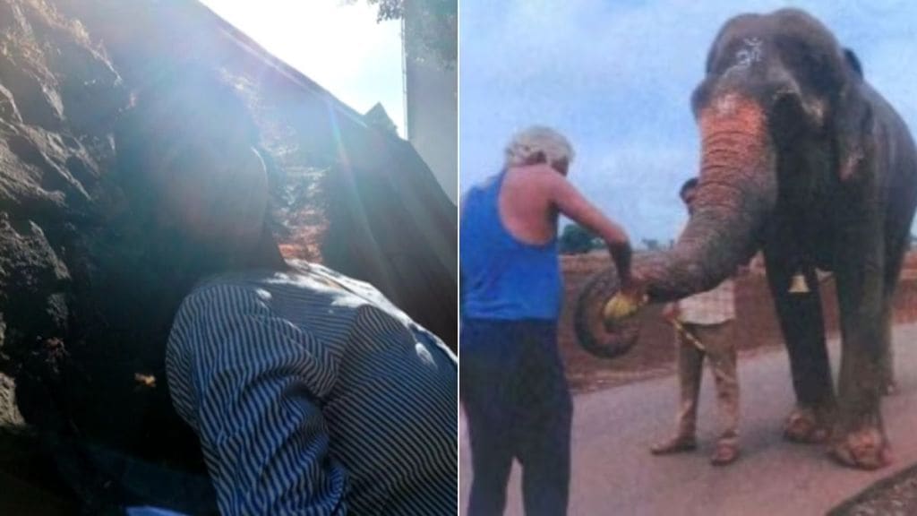 marathi actress aarti solanki share social media post about mahadevi elephant from nandani village