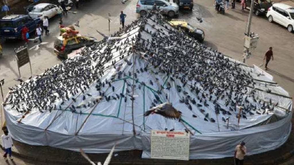 marathi ekikaran samiti karyakarta detained by police protest against kabutar khana