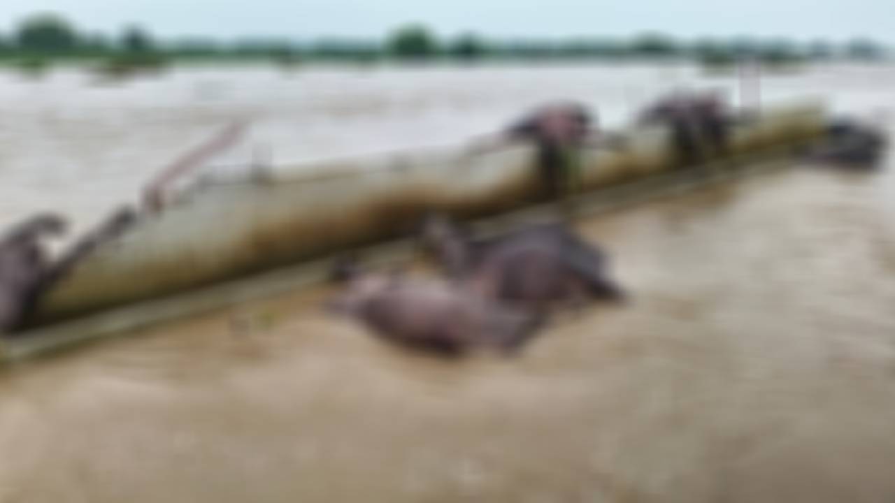 marathwada life disrupted due to heavy rain 293 persons stuck in river
