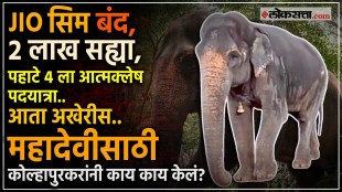 Mahadevi Madhuri Elephant Likely To Return In Kolhapur