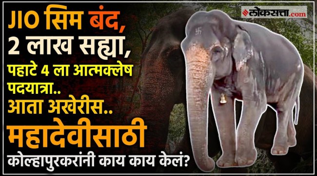 Mahadevi Madhuri Elephant Likely To Return In Kolhapur