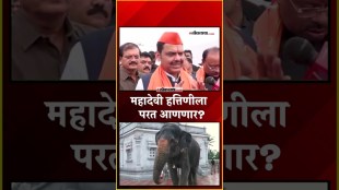 महादेवी हत्तिणीला वनतारामध्ये पाठवण्याचा निर्णय शासनाचा नाही, देवेंद्र फडणवीसांनी केलं स्पष्ट