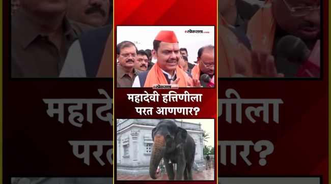 महादेवी हत्तिणीला वनतारामध्ये पाठवण्याचा निर्णय शासनाचा नाही, देवेंद्र फडणवीसांनी केलं स्पष्ट