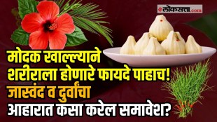 Ganeshotsav Special Benefits Of Modak jar tar chi gost