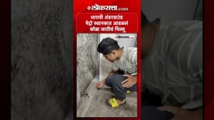 A baby rattlesnake was caught at Dharavi Underground Metro Station with the help of snake enthusiasts