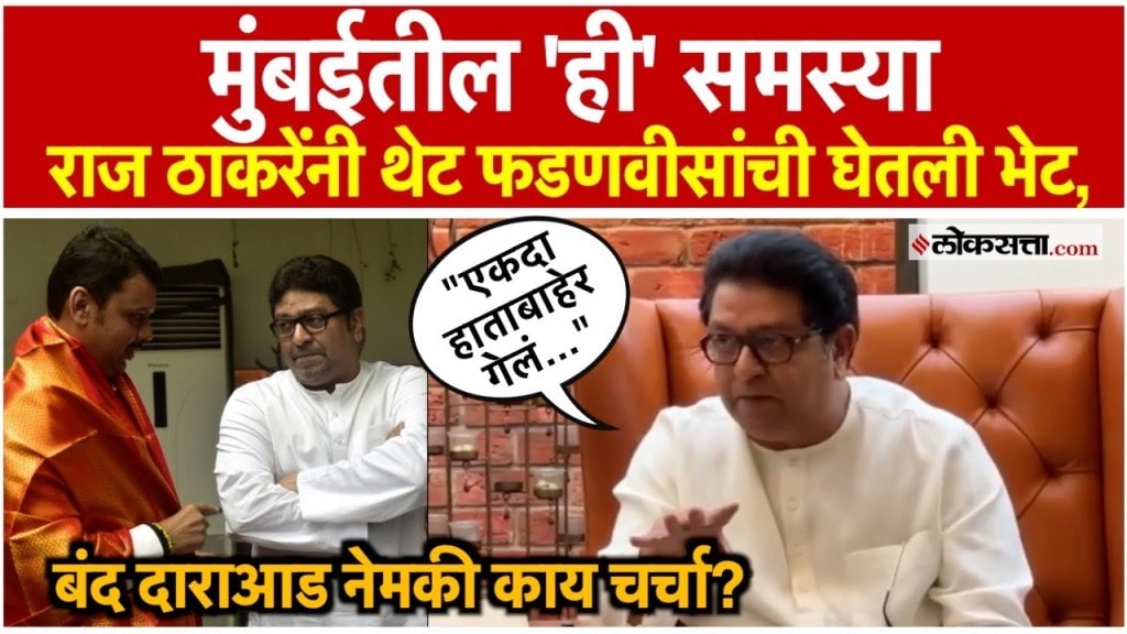 फडणवीसांची भेट अन् राजकीय चर्चा, राज ठाकरेंनी दिलं उत्तर
