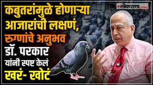 How Does a Pigeon Causes Health Issues