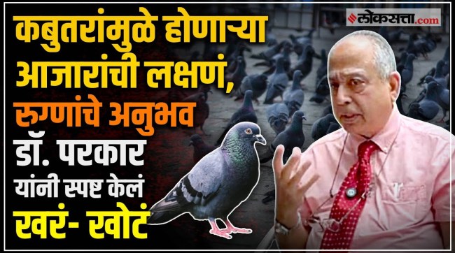 How Does a Pigeon Causes Health Issues