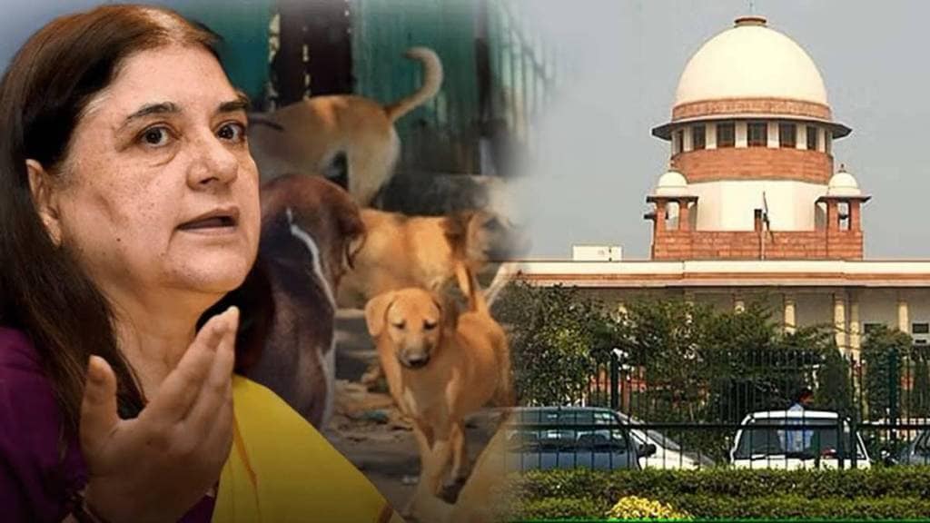 कुत्र्यांना हद्दपार केले, तर झाडावरील माकडे खाली येतील – मनेका गांधी