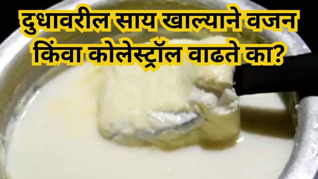milk Cream Benifits (सौजन्य - फ्रिपीक)