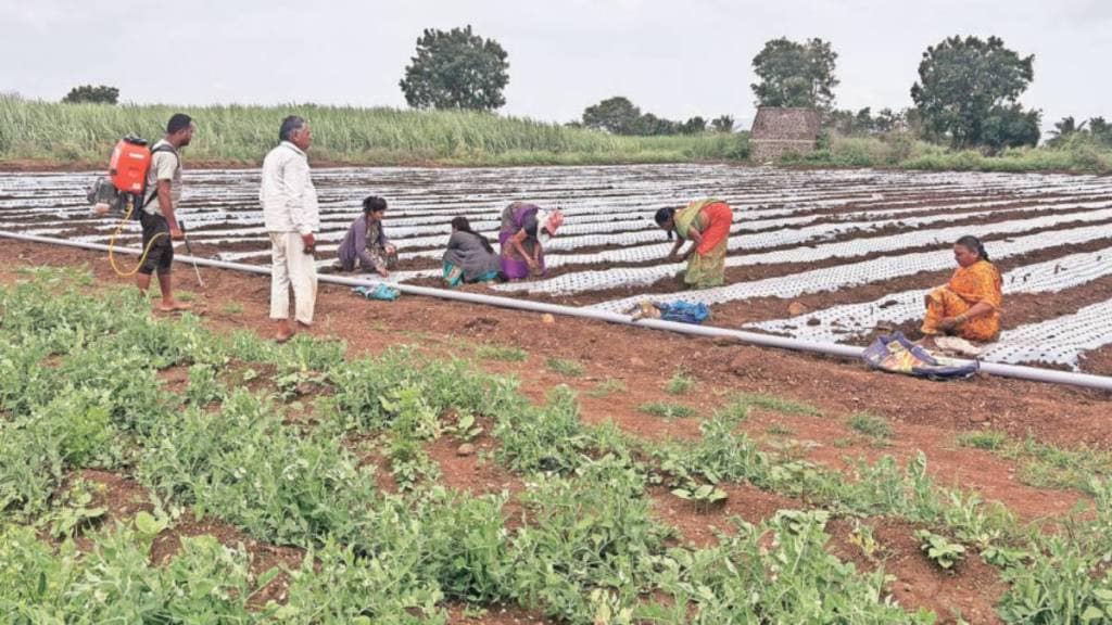 financial situation of displaced farmers