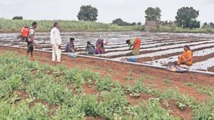 financial situation of displaced farmers