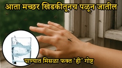 घरात एकही मच्छर राहणार नाही! पाण्यात टाका फक्त ‘ही’ गोष्ट, सगळ्या मच्छर झटक्यात होतील गायब आणि परतही येणार नाहीत