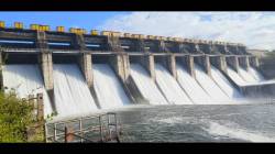 निळवंडेपाठोपाठ मुळा धरणही भरण्याच्या मार्गावर!