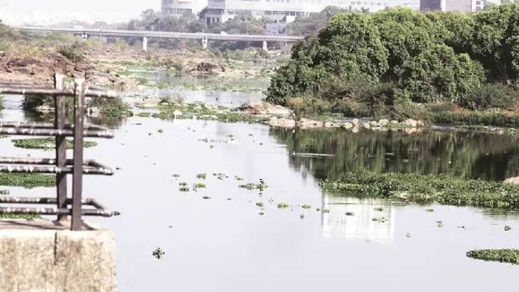 Environmentalists oppose cutting down trees for beautification of Mula River pune print news