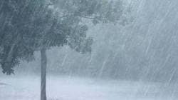 Heavy Rain Update: नांदेडमध्ये मुसळधार, दोघांचा मृत्यू; शहरातील सखल भागात पाणी, मदतीसाठी लष्कर तुकडीची मागणी