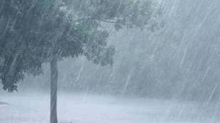 Jalna gets heavy rainfall