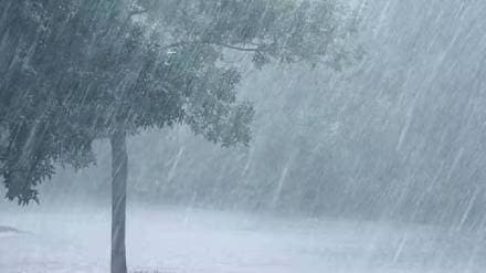 Heavy rains in Nanded district cause major damage as rivers and streams overflow