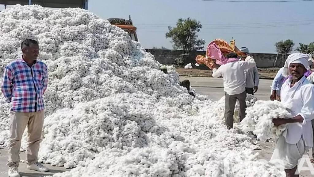 Cotton Corporation of India has started procurement centers with mandatory conditions for farmers