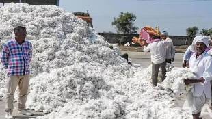 Cotton Corporation of India has started procurement centers with mandatory conditions for farmers