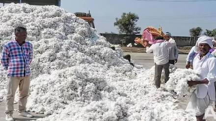 Cotton Corporation of India has started procurement centers with mandatory conditions for farmers
