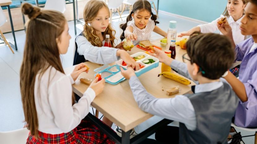 nursery fees in india