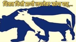Optical Illusion: फोटोत प्राणी दिसतात ना? मग एकूण किती प्राणी लपले आहेत सांगा पटकन, तुम्हाला सांगता येईल उत्तर…