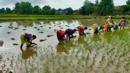 rain in Palghar rain in Palghar