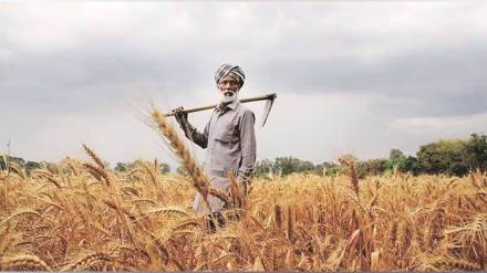 Loksatta anvyarth Central government backs agricultural laws Aam Aadmi Party land acquisition policy Punjab economy