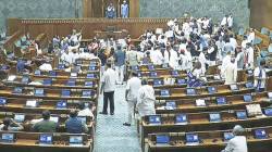 बंदरांसंबंधी सर्व कायदे एकत्र; महत्त्वपूर्ण विधेयकाला राज्यसभेचीही मंजुरी