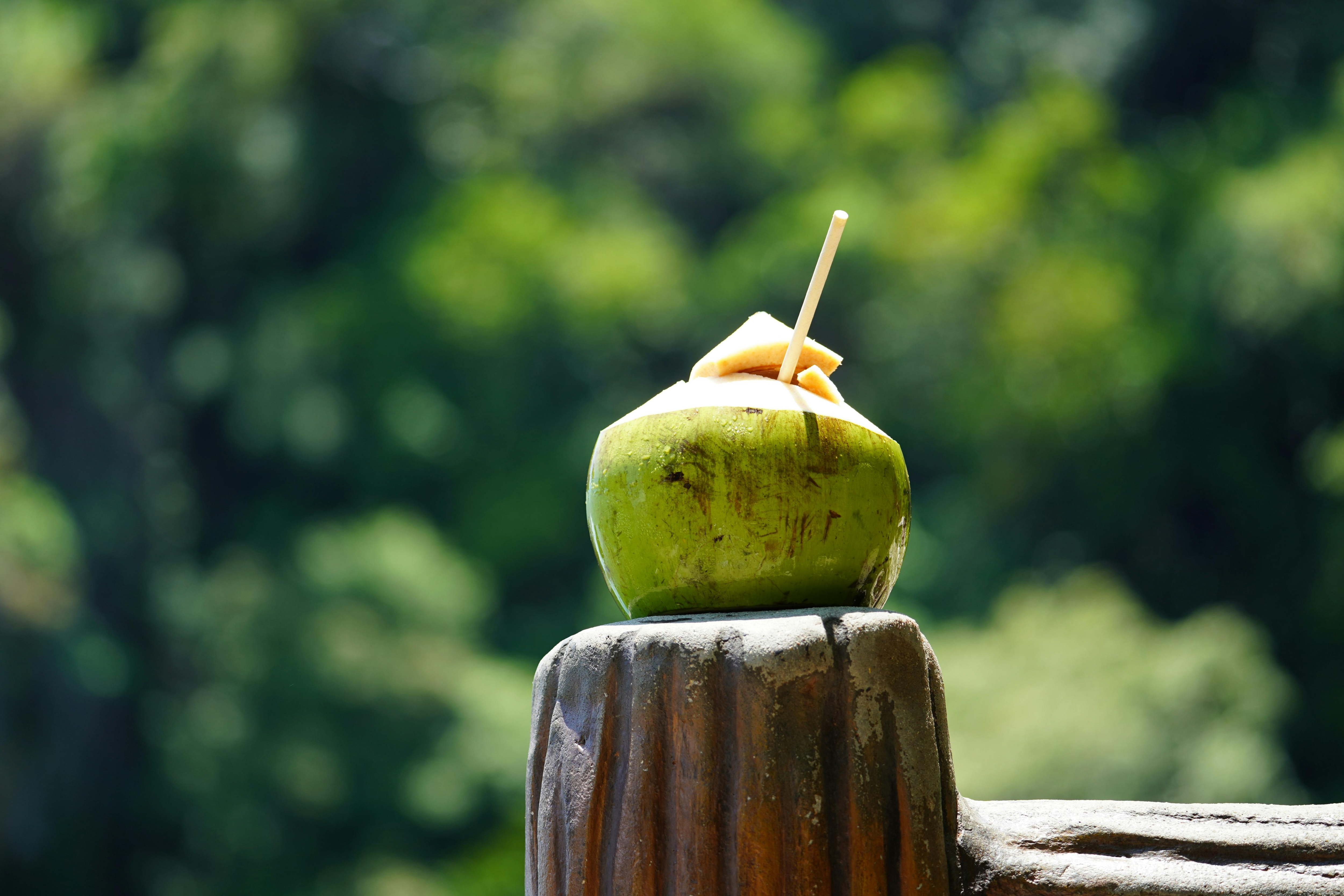 coconut water