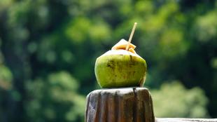 coconut water