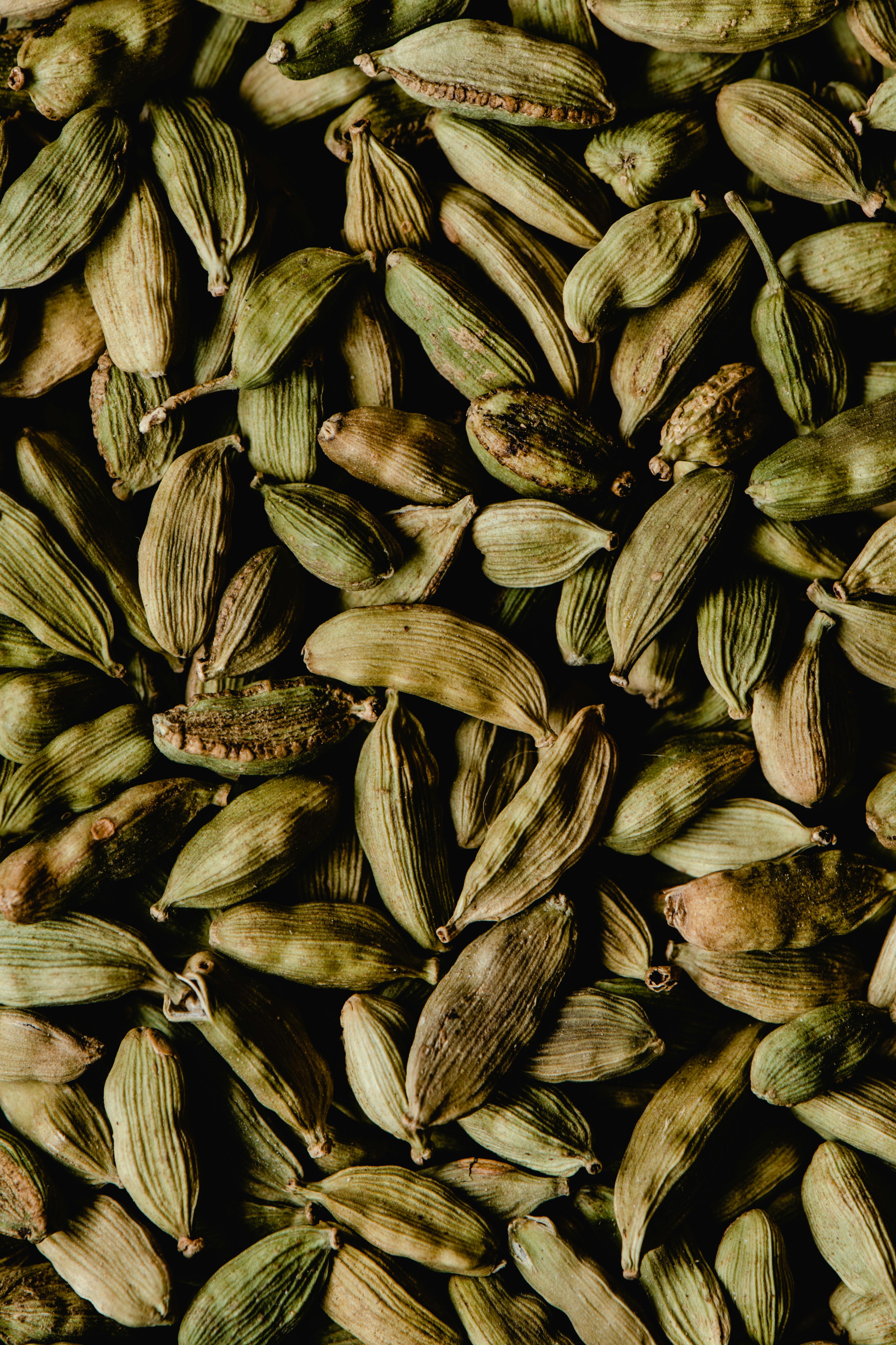 cardamom velchi health benefits 