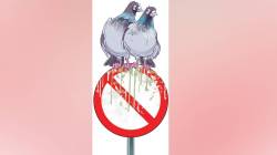 рдкрд╛рдЦрд░рд╛рдВрдЪрдВ рдкреНрд░рдореЗрдп