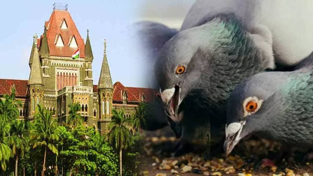 After Mumbai, now there is a controversy over pigeon ban in Pune; Petition in High Court