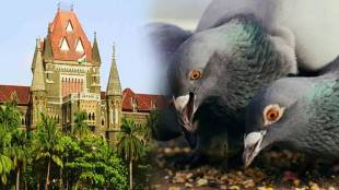 After Mumbai, now there is a controversy over pigeon ban in Pune; Petition in High Court