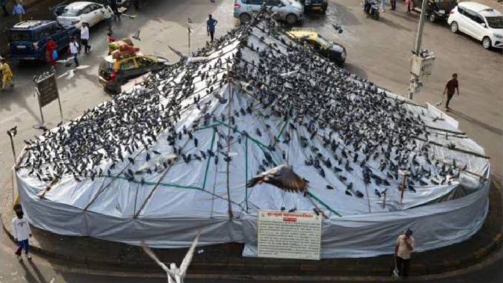 Mumbai pigeon feeding restrictions Minister Mangal Prabhat Lodha Mumbai Municipal Corporation Commissioner
