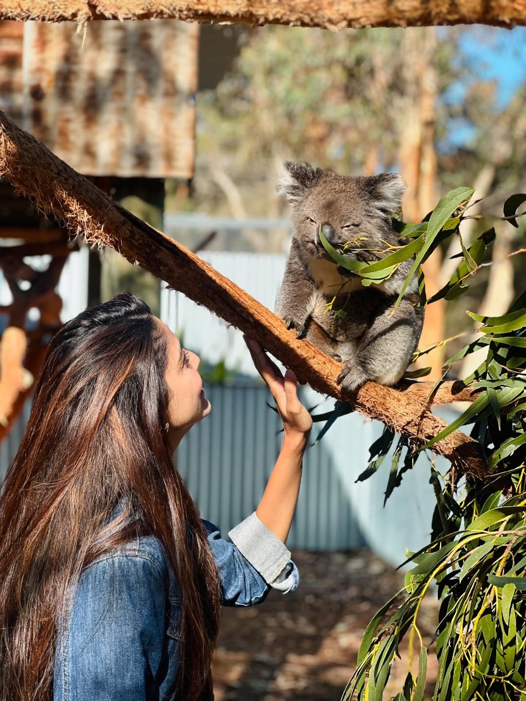pooja sawant wildlife trip with husband to kangaroo island australia