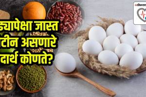 high protein foods