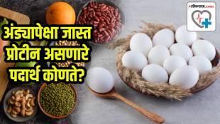 high protein foods
